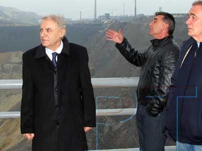 Бор из угла академика и драмског писца Душана Ковачевића